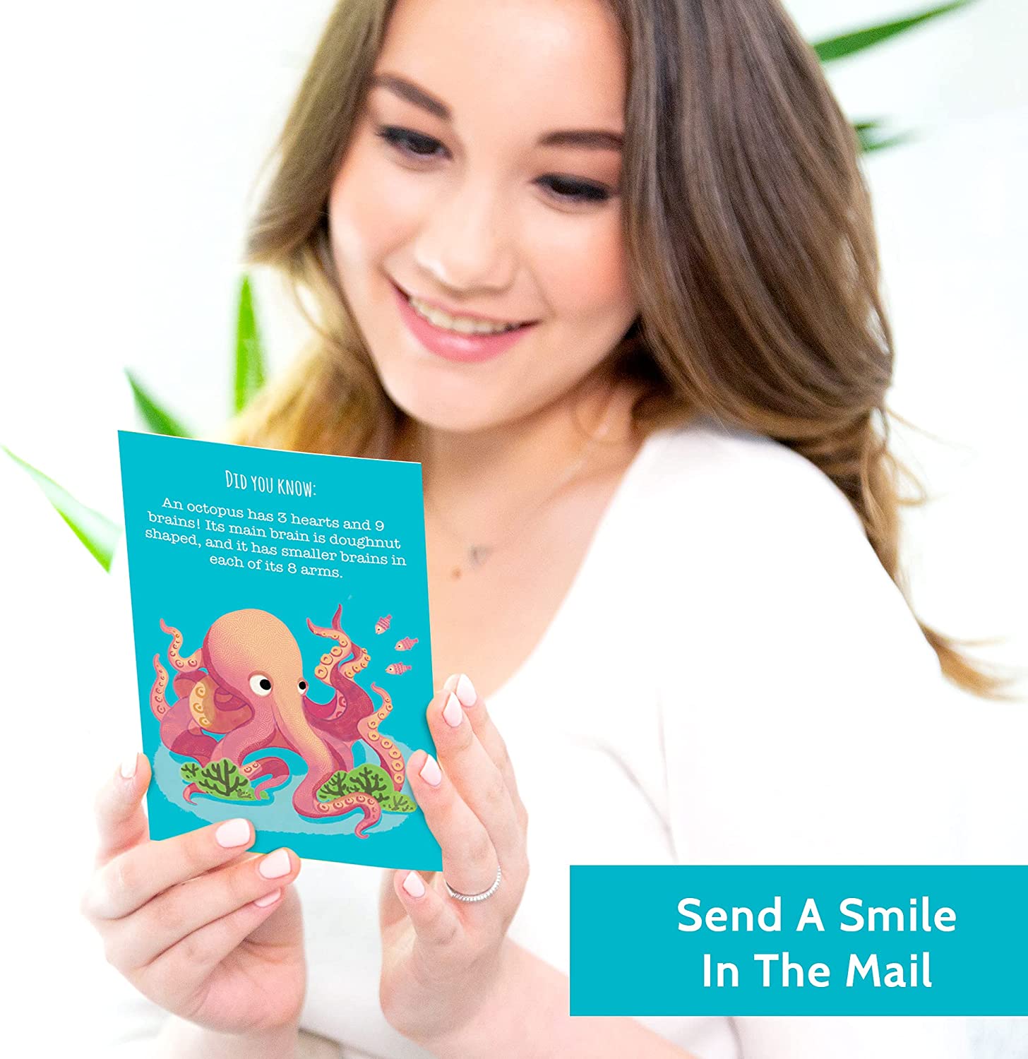 T MARIE 40 Animal Fun Fact Postcards - Bulk Thinking of You Postcard Pack for Kids, Students, Friends, Teacher, and More - Say Hello, Thank You or I Miss You with Colorful Note Cards - Image 4